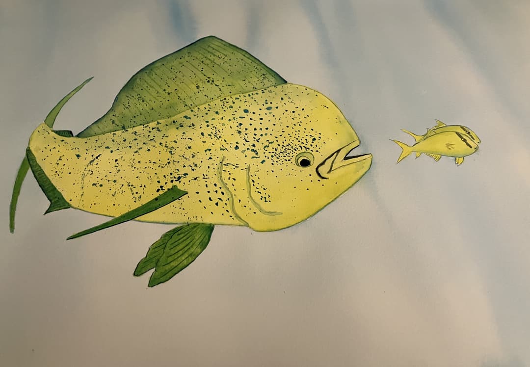 Yellow Fish